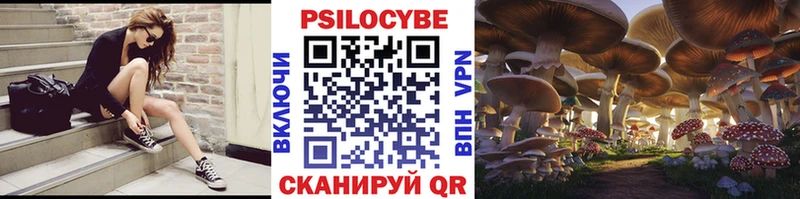 Псилоцибиновые грибы мухоморы  закладка  Тверь 